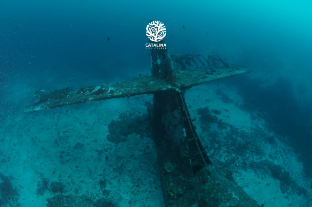 Monday, 31 Mar  2025, 0254064