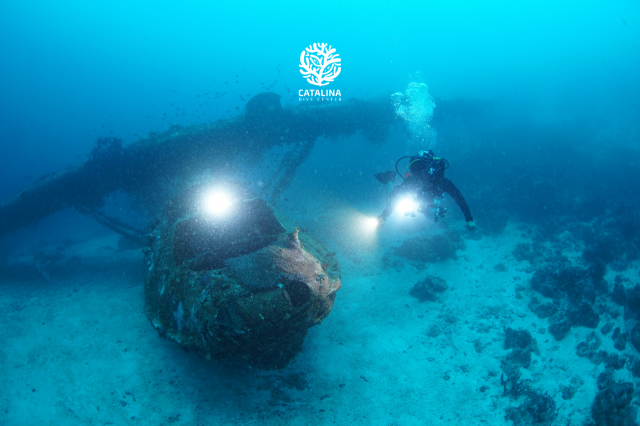 Monday, 31 Mar  2025, 0252582