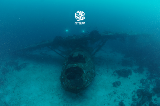 Monday, 31 Mar  2025, 0252583