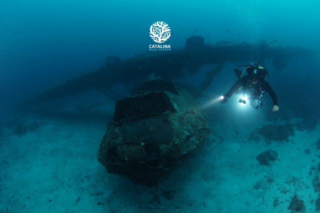 Monday, 31 Mar  2025, 0253273