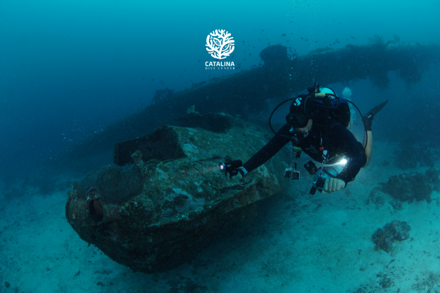 Monday, 31 Mar  2025, 0253272