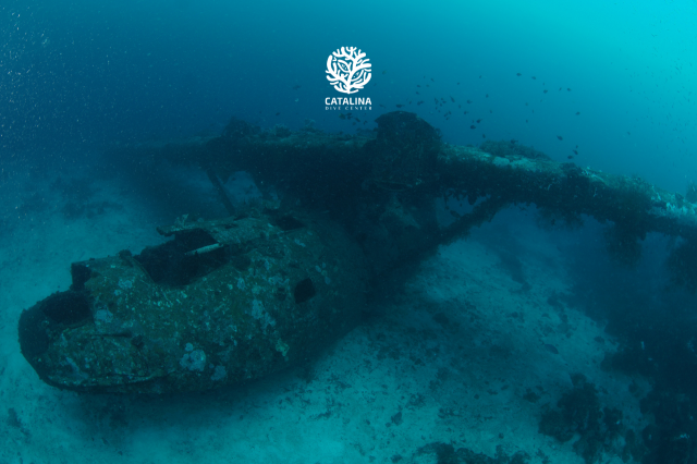 Monday, 31 Mar  2025, 0254065