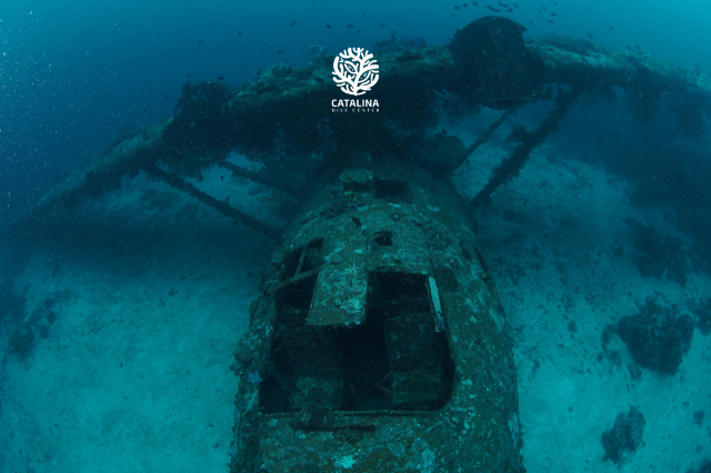 Monday, 31 Mar  2025, 0254063