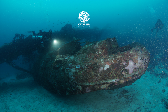 Monday, 31 Mar  2025, 0252402