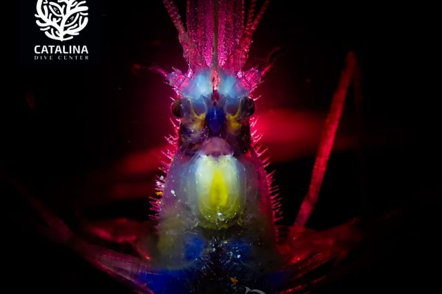 Thursday, 03 Apr  2025, 01373816