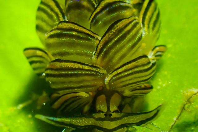 Thursday, 03 Apr  2025, 01373812