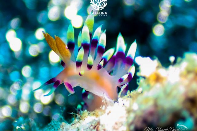 Thursday, 03 Apr  2025, 0137389