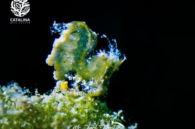 Thursday, 03 Apr  2025, 01373813