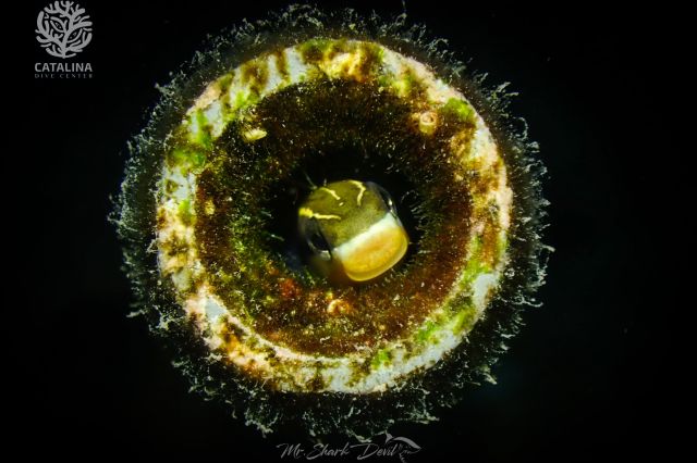 Thursday, 03 Apr  2025, 01373810