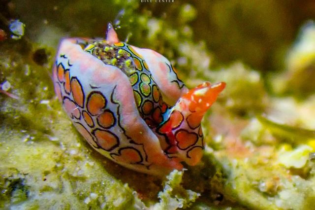 Thursday, 03 Apr  2025, 01373811