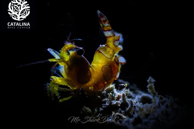 Thursday, 03 Apr  2025, 01373814