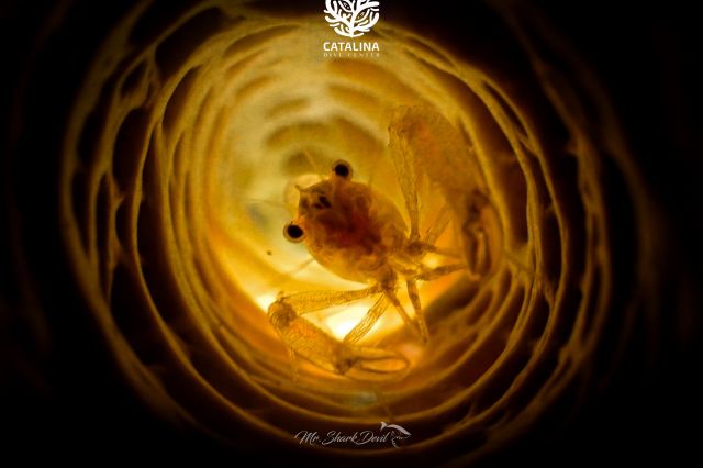 Thursday, 03 Apr  2025, 0137382