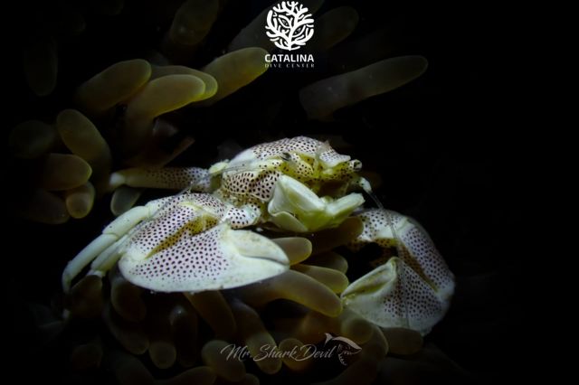 Thursday, 03 Apr  2025, 01373815