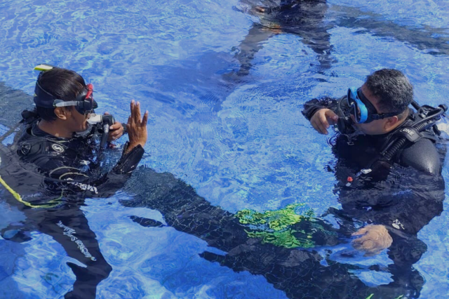 Wednesday, 18 Jun  2025, 0246382