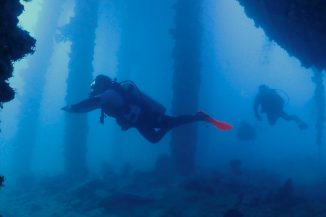 Wednesday, 18 Jun  2025, 02471612