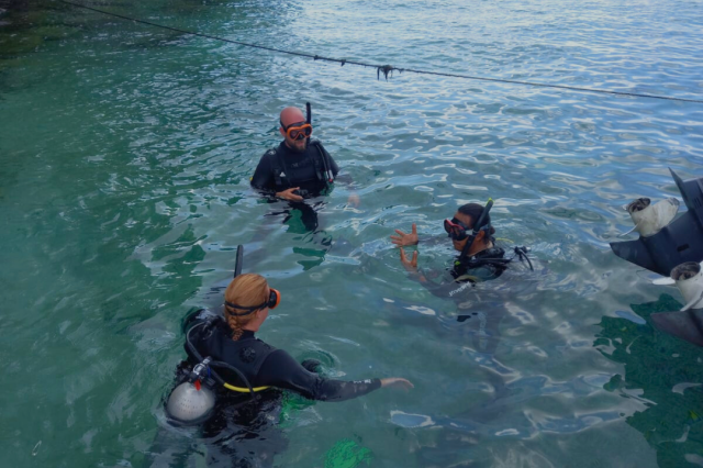 Wednesday, 18 Jun  2025, 0247163