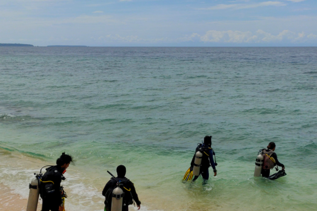 Wednesday, 18 Jun  2025, 0246558