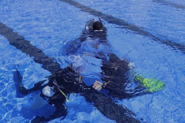 Wednesday, 18 Jun  2025, 0246385