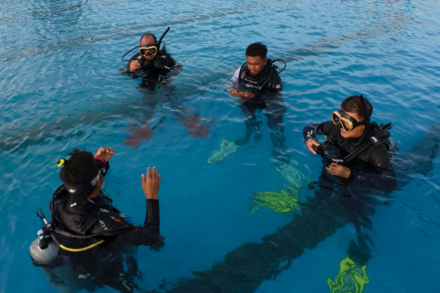 Wednesday, 18 Jun  2025, 0246553