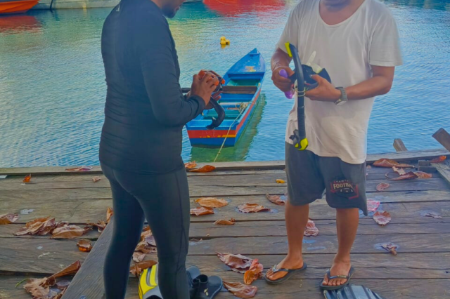 Wednesday, 18 Jun  2025, 0246557